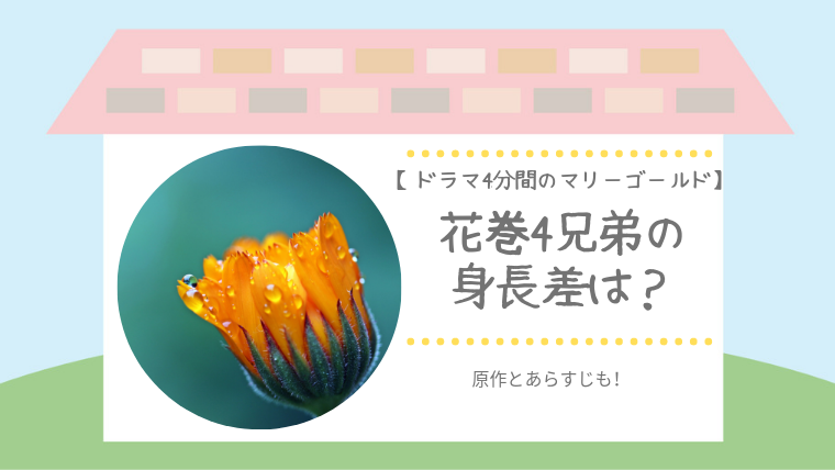 ドラマ4分間のマリーゴールド 花巻4兄弟の身長は 原作とあらすじ らいふはっくん